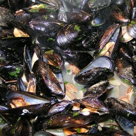 Hotel Sissi Rivazzurra Di Rimini