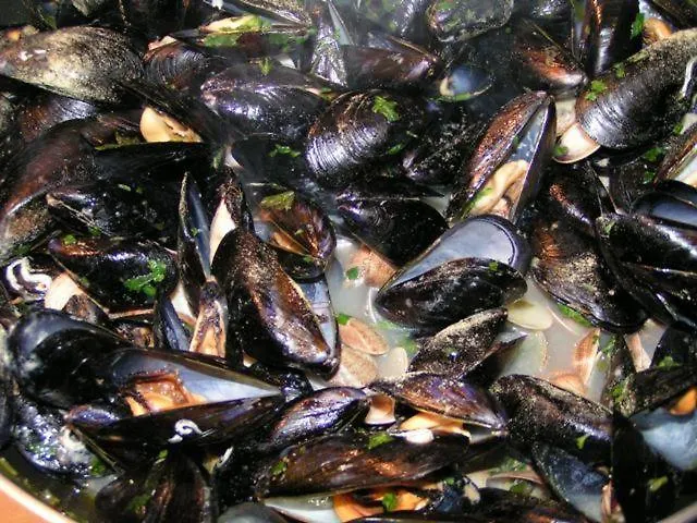 Otel Sissi Rivazzurra Di Rimini