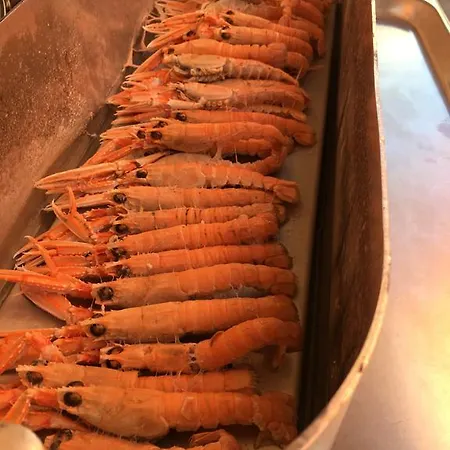 Sissi Rivazzurra Di Rimini