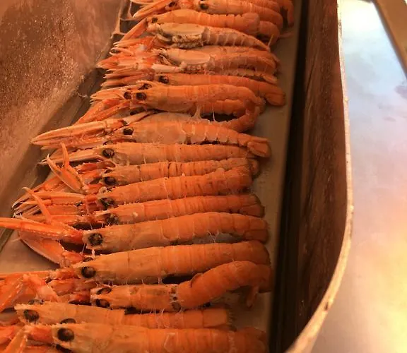 Sissi Rivazzurra Di Rimini